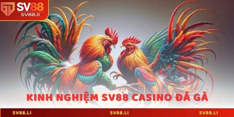 Kinh nghiệm SV88 casino đá gà bách phát bách trúng